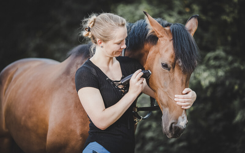 LARGE ANIMAL GROOMING